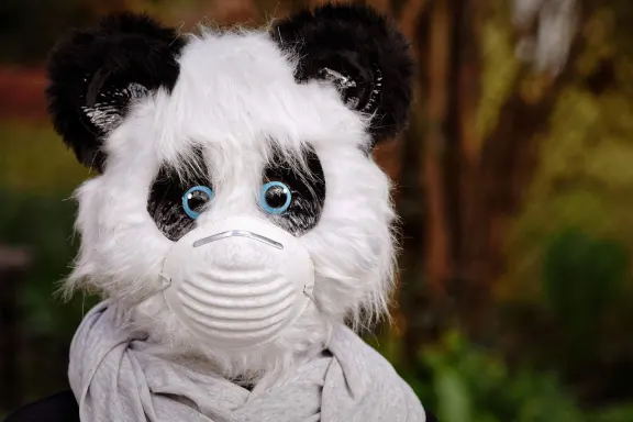 NoxWin Kazino Pagalba